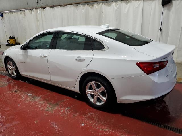  CHEVROLET MALIBU 2023 White