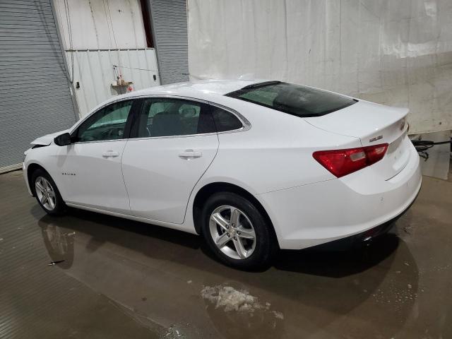  CHEVROLET MALIBU 2024 White