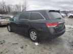 2015 Honda Odyssey Exl за продажба в Cahokia Heights, IL - Side