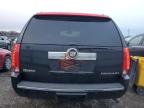 2010 Cadillac Escalade Hybrid продається в Chicago Heights, IL - Front End