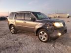 2013 Honda Pilot Exl للبيع في Haslet، TX - Front End