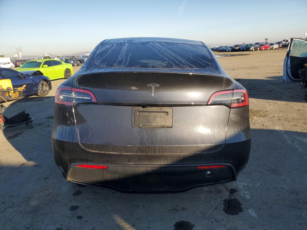 2024 Tesla Model Y VIN: 7SAYGDED4RF124582 Lot: 83558824