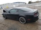 2014 Ford Mustang  for Sale in Cookstown, ON - Front End