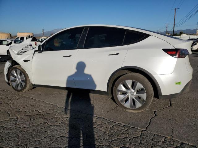  TESLA MODEL Y 2023 White