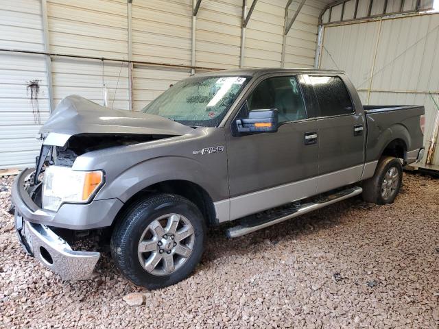  FORD F-150 2013 Szary