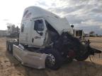 2013 Freightliner Cascadia 125  zu verkaufen in Temple, TX - All Over