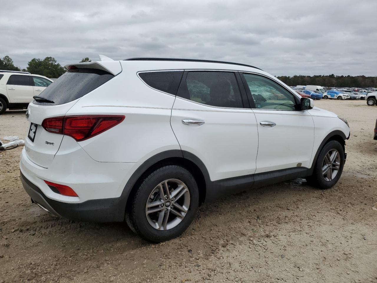 VIN 5NMZU3LB6HH027354 2017 HYUNDAI SANTA FE no.3