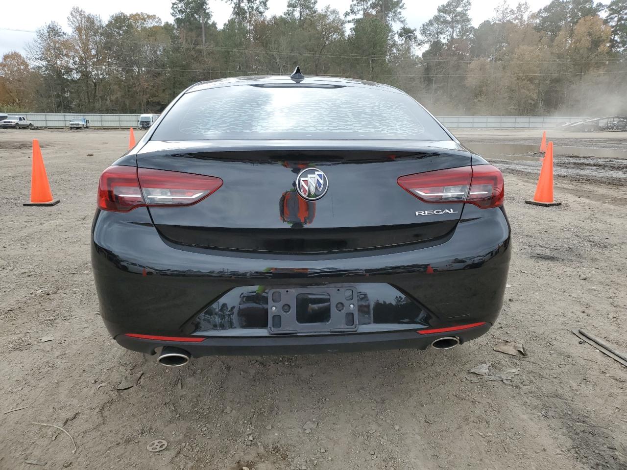 2020 Buick Regal Preferred VIN: W04GL6SX5L1005318 Lot: 85489654