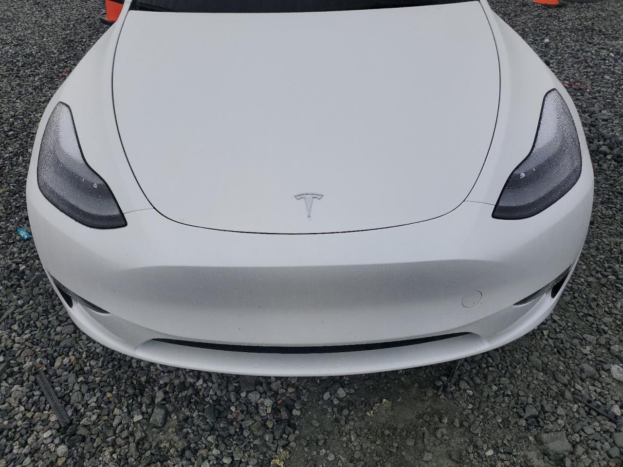 2023 Tesla Model Y VIN: 7SAYGDEF3PF920531 Lot: 85118384