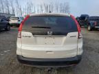 2014 Honda Cr-V Exl zu verkaufen in Arlington, WA - Rear End