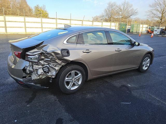  CHEVROLET MALIBU 2024 Beige