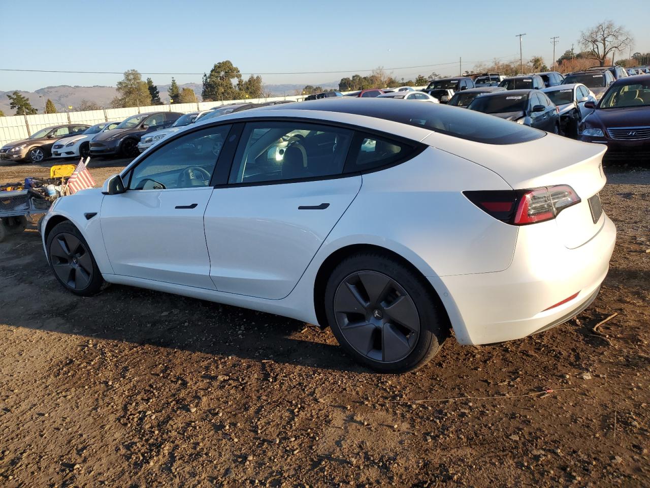 2021 Tesla Model 3 VIN: 5YJ3E1EBXMF010041 Lot: 85822004