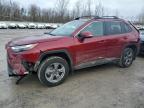 2024 Toyota Rav4 Xle იყიდება Leroy-ში, NY - Rear End