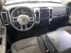 Littleton, CO에서 판매 중인 2010 Dodge Ram 1500  - Hail