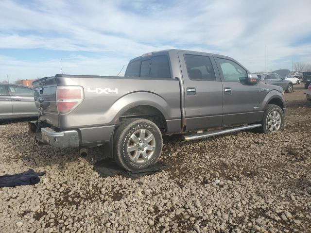  FORD F-150 2014 Szary