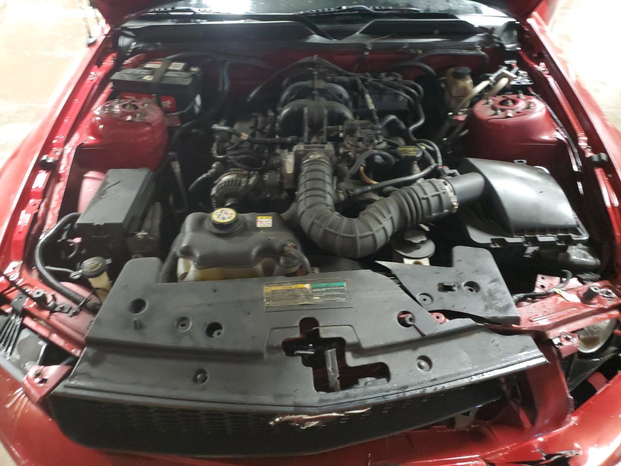 2009 Ford Mustang VIN: 1ZVHT80N495123754 Lot: 83582224