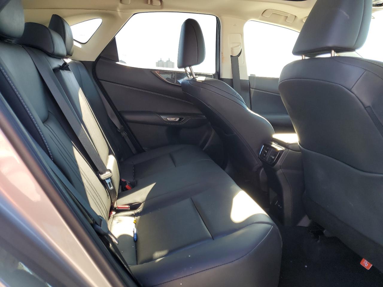 2024 Lexus NX - Image 11