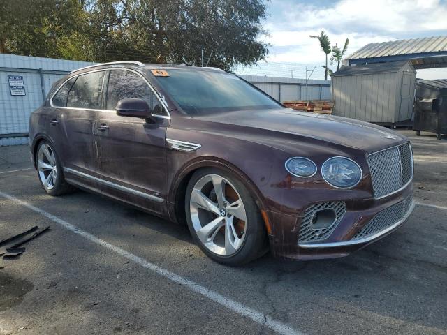  BENTLEY ALL MODELS 2021 Maroon