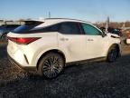 2024 Lexus Rx 350H Base for Sale in Hillsborough, NJ - Front End