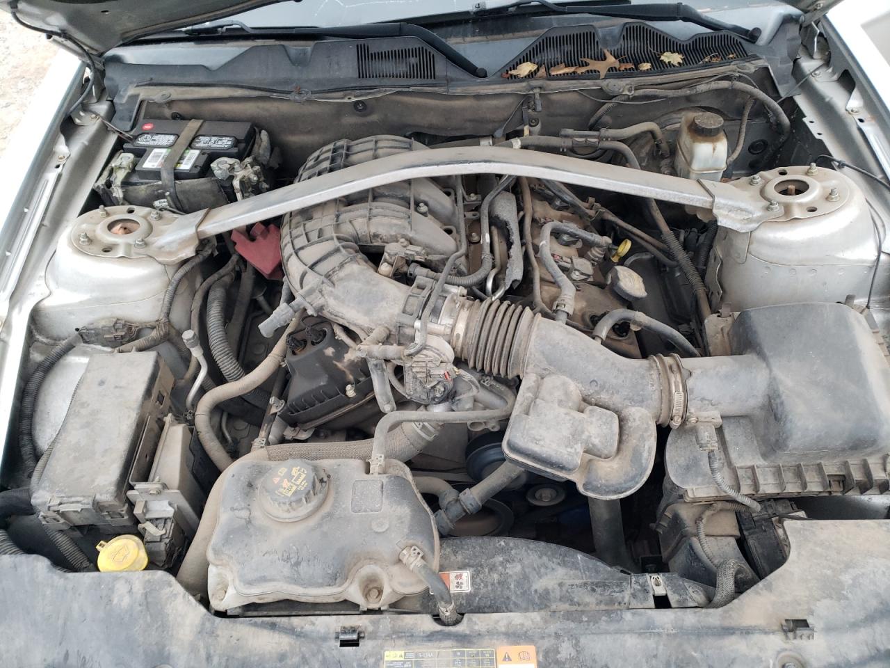 2011 Ford Mustang VIN: 1ZVBP8EM4B5120188 Lot: 86036924