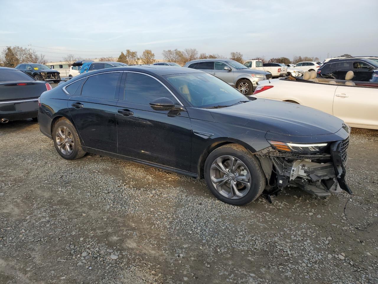 2024 Honda Accord - Image 4