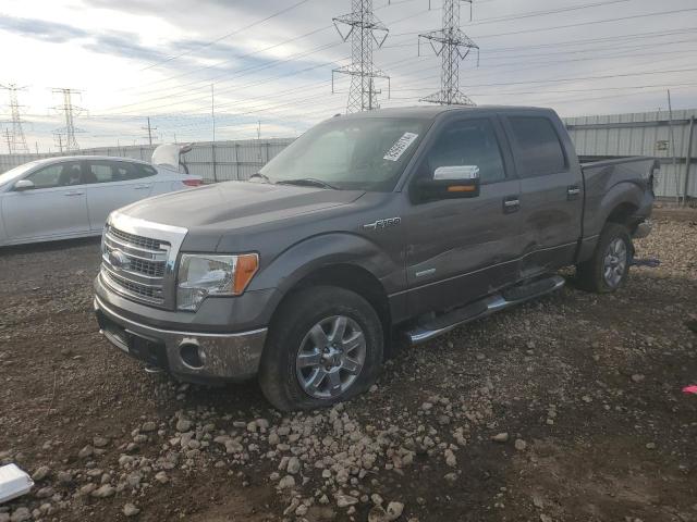  FORD F-150 2014 Szary