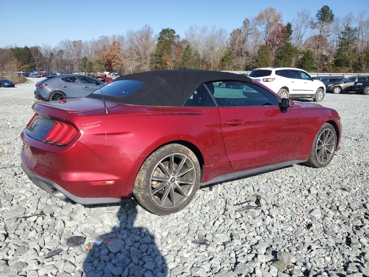 2019 Ford Mustang - Image 3