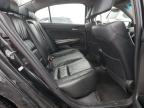 2009 Honda Accord Exl en Venta en London, ON - Front End