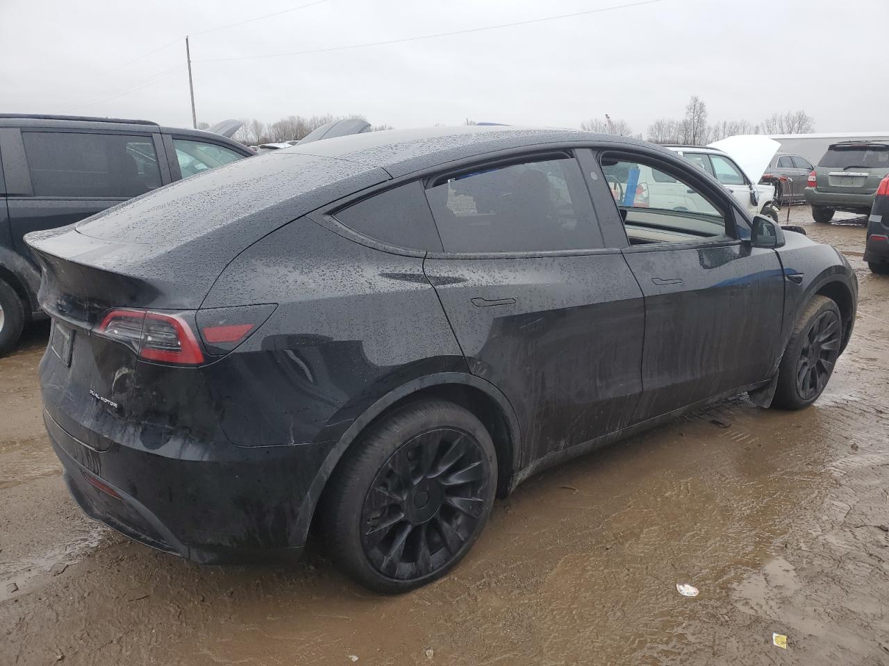 2023 Tesla Model Y VIN: 7SAYGDEE8PA189650 Lot: 85205674