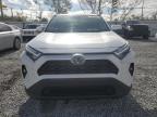 2023 Toyota Rav4 Xle Premium للبيع في Riverview، FL - Water/Flood