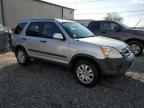 2005 Honda Cr-V Ex zu verkaufen in Riverview, FL - Water/Flood