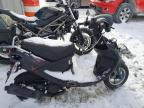 2023 Genuine Scooter Co. Buddy 50 de vânzare în Wayland, MI - All Over