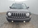 2015 Jeep Patriot Limited на продаже в Riverview, FL - Front End