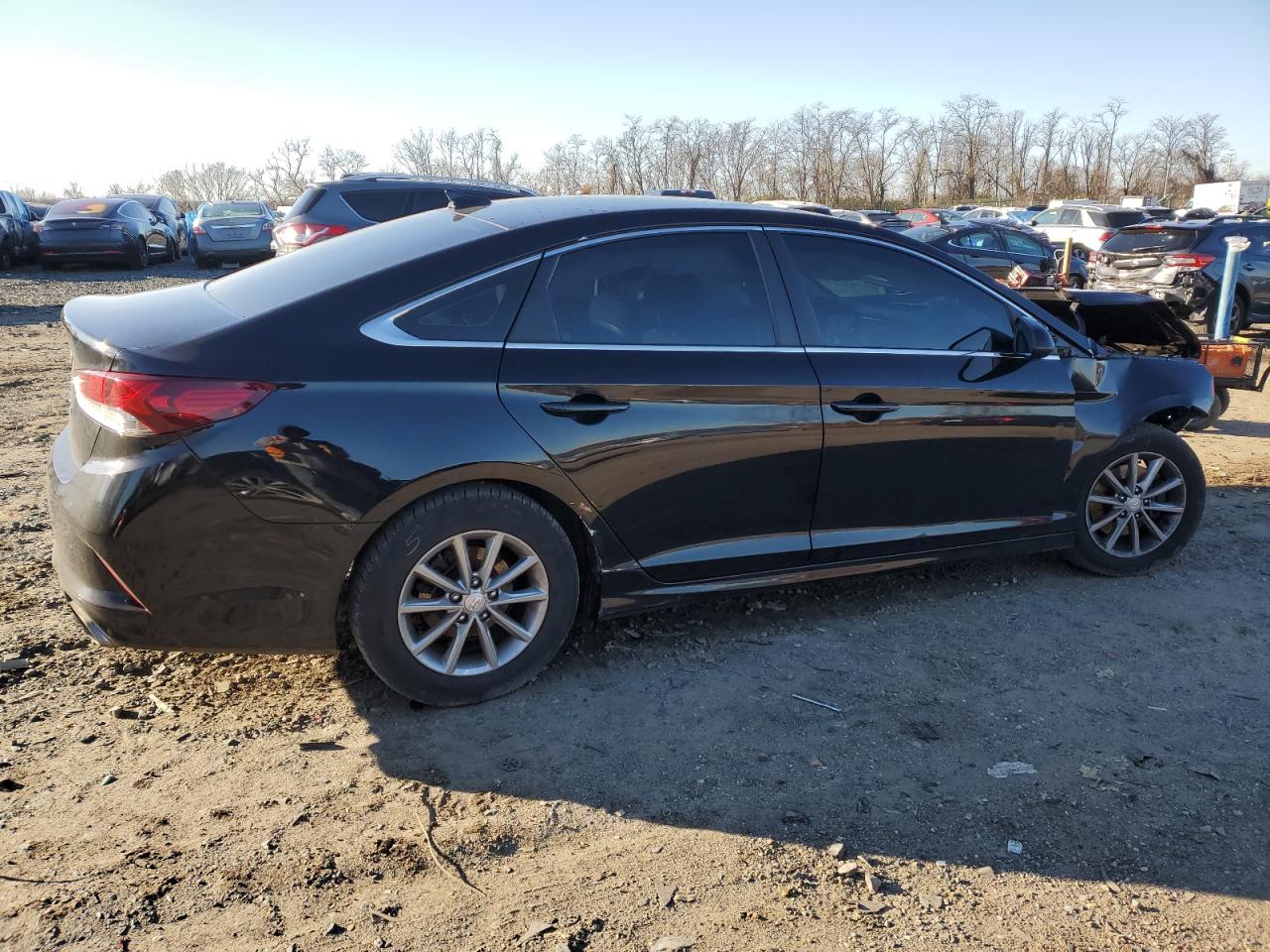 2019 Hyundai Sonata - Image 3