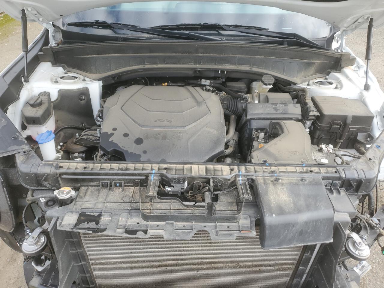 2024 Kia Telluride S VIN: 5XYP64GC4RG416256 Lot: 85805164