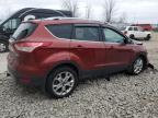 2015 Ford Escape Titanium de vânzare în Appleton, WI - Front End