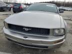 2008 Ford Mustang  for Sale in Louisville, KY - All Over