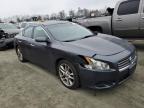 2010 Nissan Maxima S zu verkaufen in Spartanburg, SC - Front End