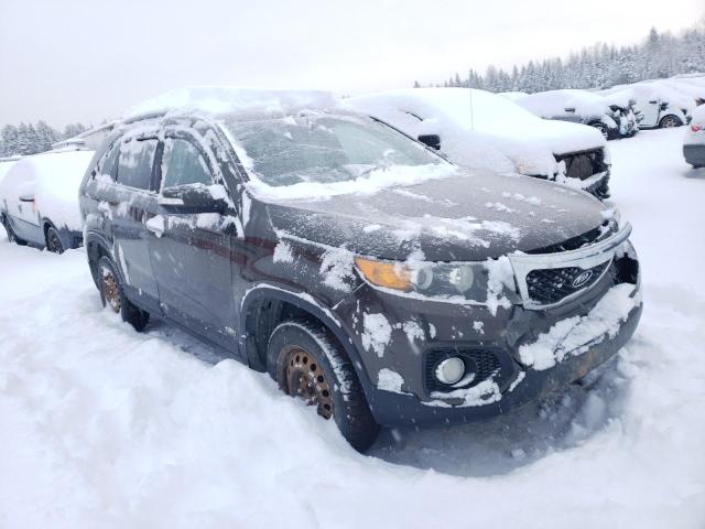 2011 KIA SORENTO BASE