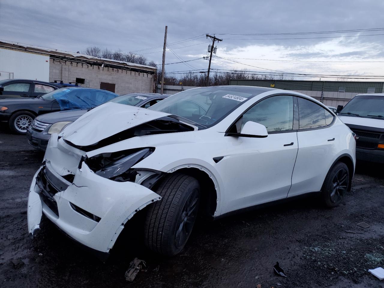 2024 Tesla Model Y VIN: 7SAYGDED2RF159699 Lot: 84824804