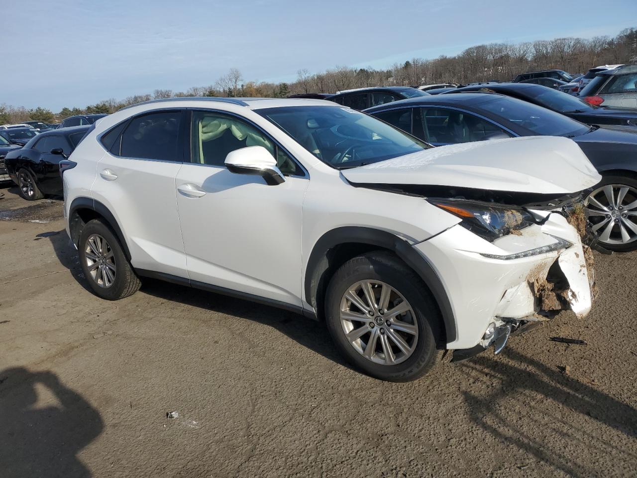 VIN JTJBARBZ9K2182095 2019 LEXUS NX no.4