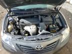 2009 Toyota Camry Base на продаже в Houston, TX - Rear End