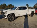 2024 Toyota Tacoma Double Cab продається в Hampton, VA - Front End