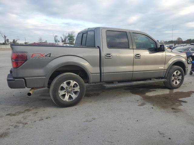 Pickups FORD F-150 2014 Szary