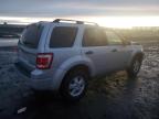 2008 Ford Escape Xlt zu verkaufen in Airway Heights, WA - Front End