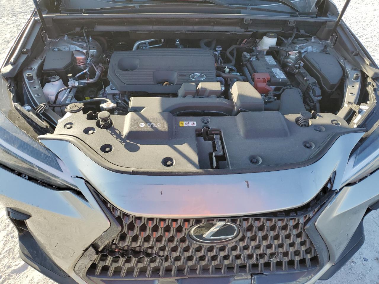 2023 Lexus NX - Image 12
