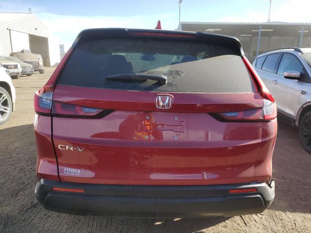  HONDA CRV 2024 Czerwony