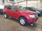 2010 Ford Escape Xlt de vânzare în Franklin, WI - Front End