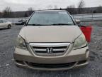 2005 Honda Odyssey Exl en Venta en Grantville, PA - All Over