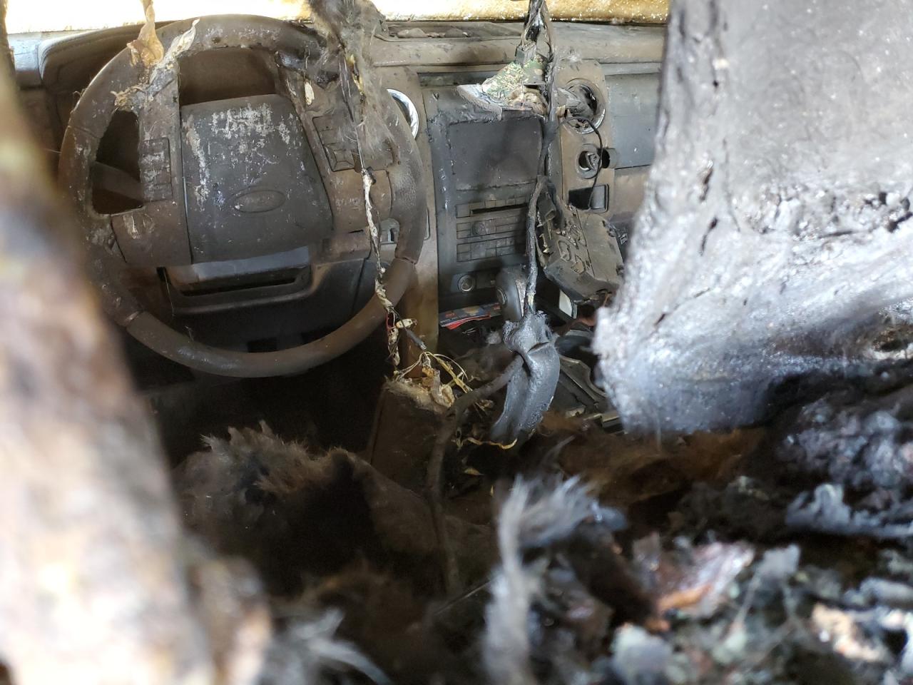 2011 Ford F-150 - Image 8